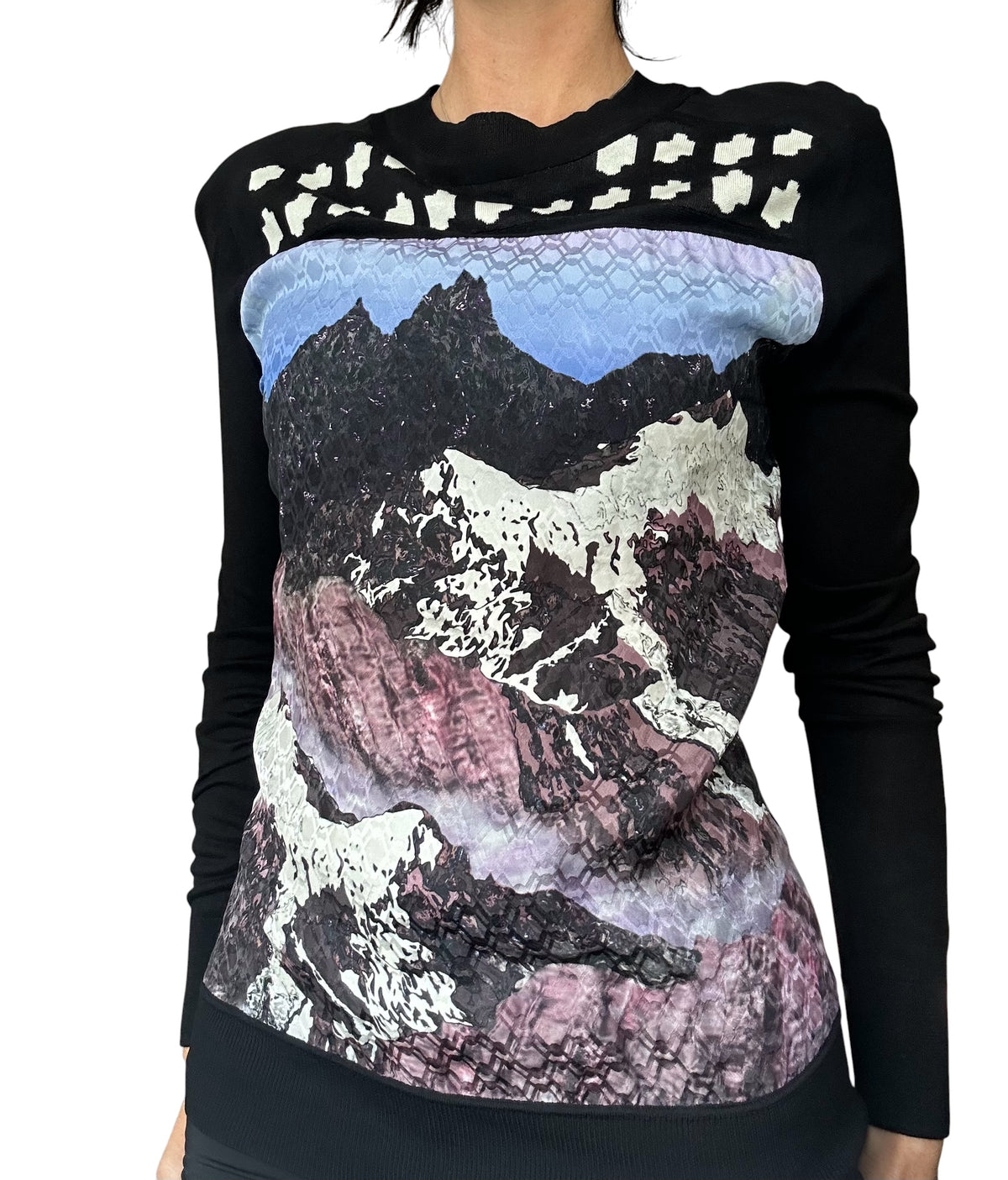 Peter Pilotto FW14 Top