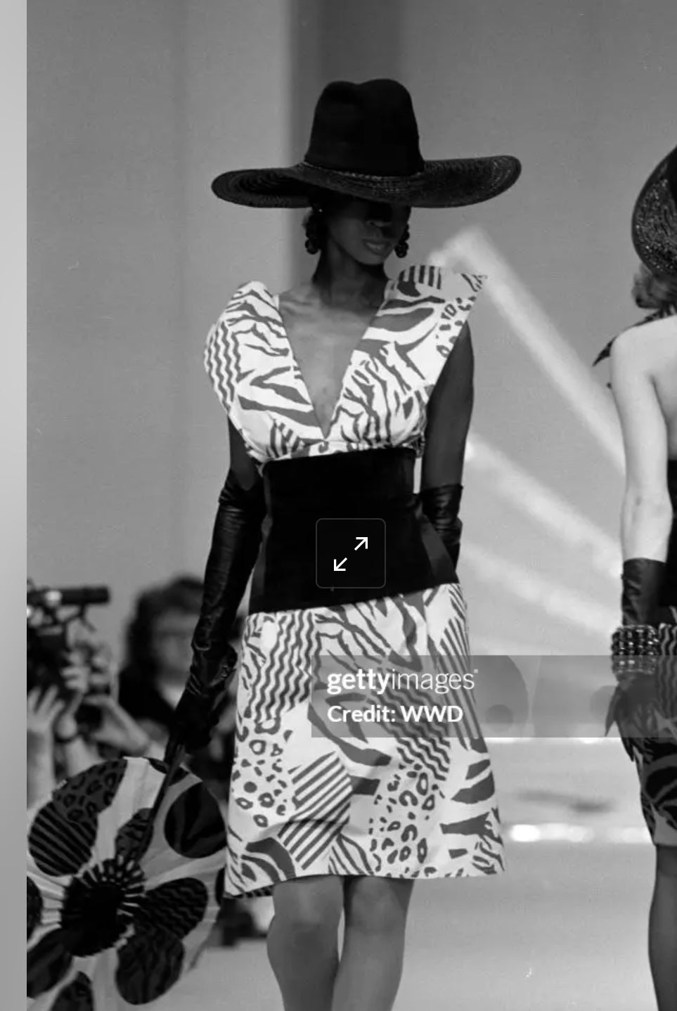 Chloe SS83 Dress